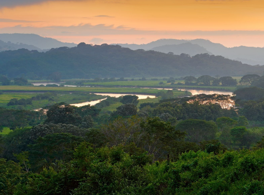 Carara National Park, Central Pacific, Puntarenas, Costa Rica